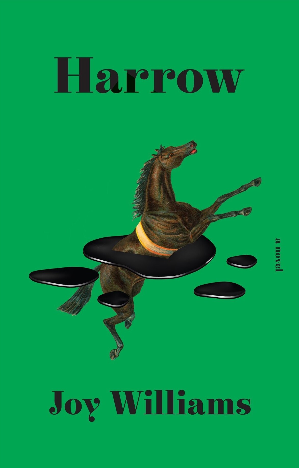 Joy Williams: Harrow (Hardcover, Knopf)