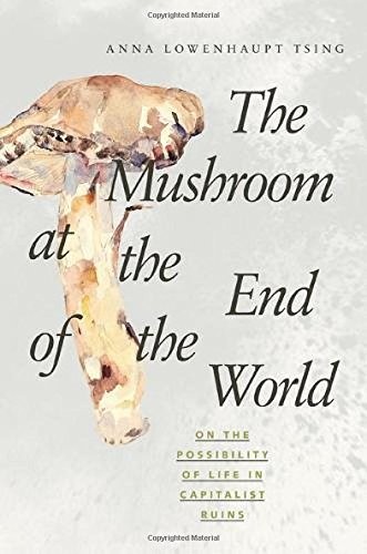 Anna Lowenhaupt Tsing: The Mushroom at the End of the World (Paperback, 2017, Princeton University Press)