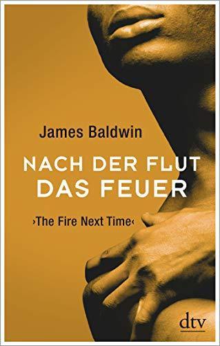 James Baldwin: Nach der Flut das Feuer (German language, 2020, dtv Verlagsgesellschaft)