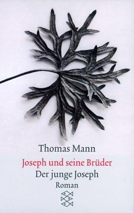 Thomas Mann: Joseph Und Seine Bruder (Paperback, German language, 1991, Fischer Taschenbuch Verlag GmbH)