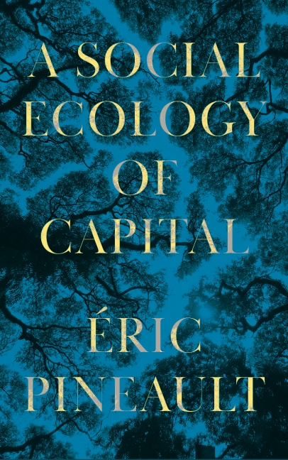 Éric Pineault: A Social Ecology of Capital (Paperback, 2022, Pluto Press)
